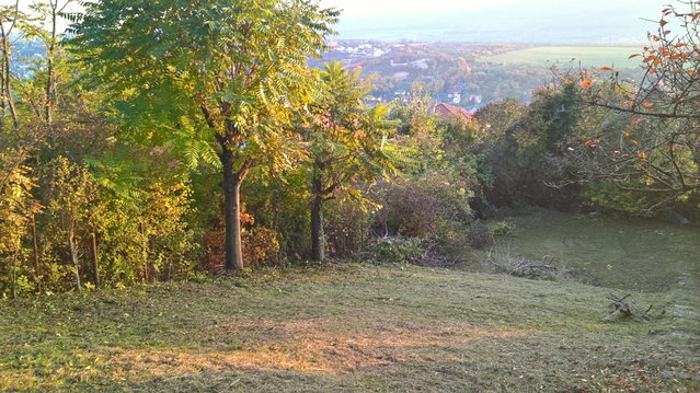Eladó telek, Pomázon 29.9 M Ft / költözzbe.hu