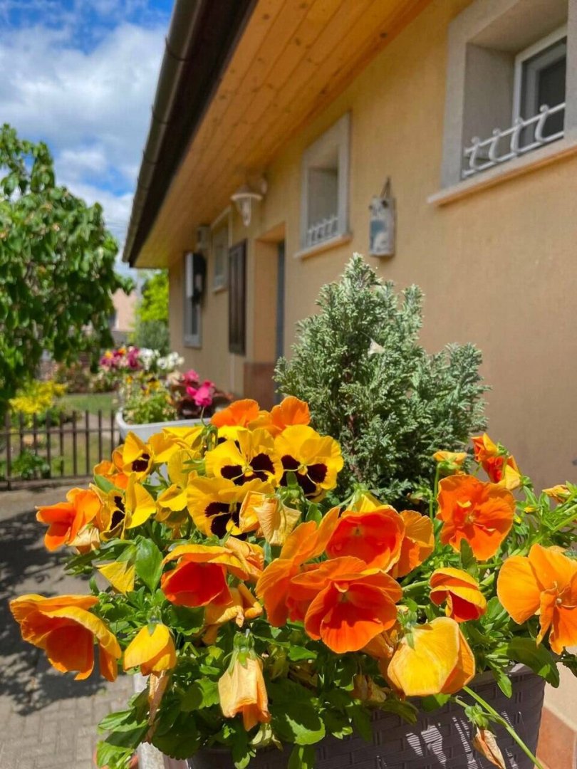 4 bed · 130m² · 160.000.000 ft