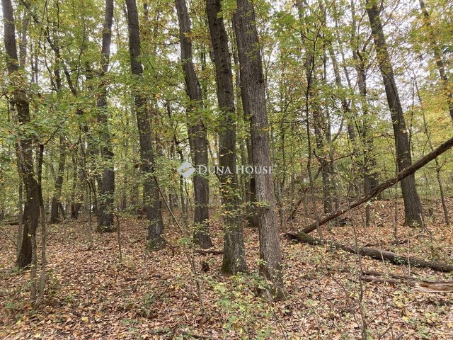 Eladó telek, Kismaroson, Hangafű utcában 10 M Ft