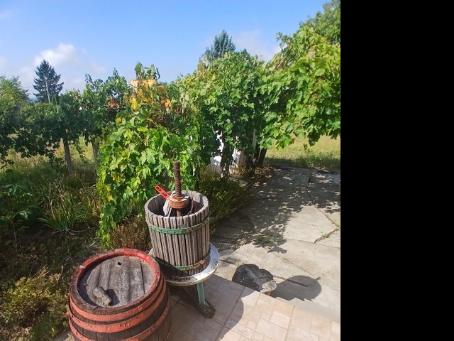 Eladó nyaraló, Siklóson 10.99 M Ft, 1 szobás