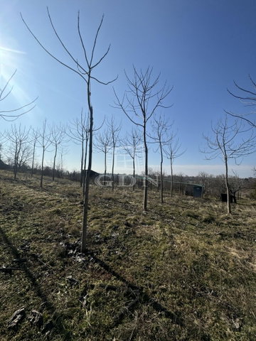 Eladó mezogazdasagi ingatlan, Mohácson 7 M Ft, 2 szobás