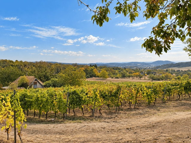 Eladó mezogazdasagi ingatlan, Pécselyen 263.5 M Ft