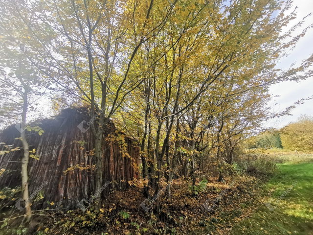 Eladó nyaraló, Homokkomáromon 3.5 M Ft, 1 szobás