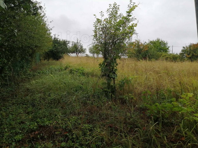 Eladó mezogazdasagi ingatlan, Dombóváron 6.5 M Ft, 1 szobás
