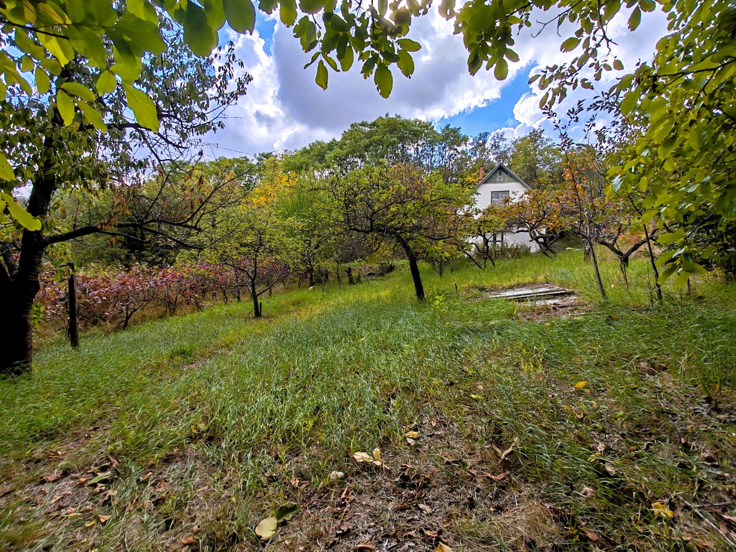 50m² · 22.900.000 ft