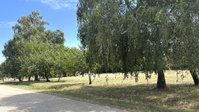Eladó telek, Bársonyoson 3 M Ft / költözzbe.hu