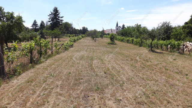 Eladó telek, Homokbödögén 4.5 M Ft / költözzbe.hu