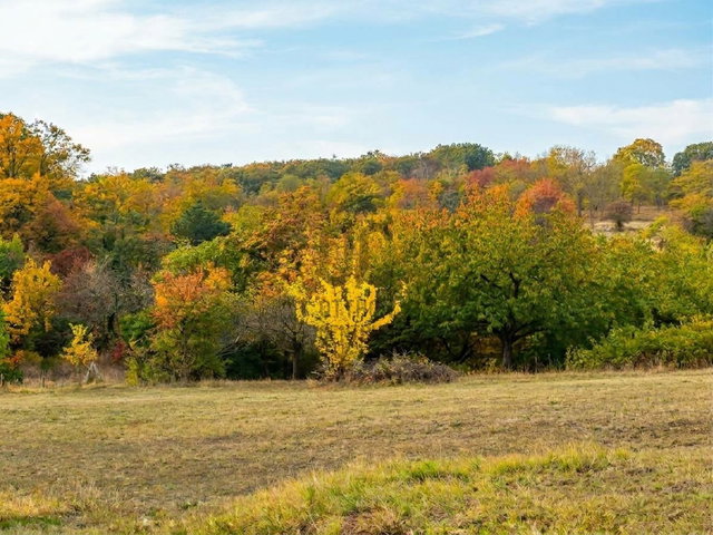 Eladó nyaraló, Zamárdiban 39.9 M Ft, 2 szobás