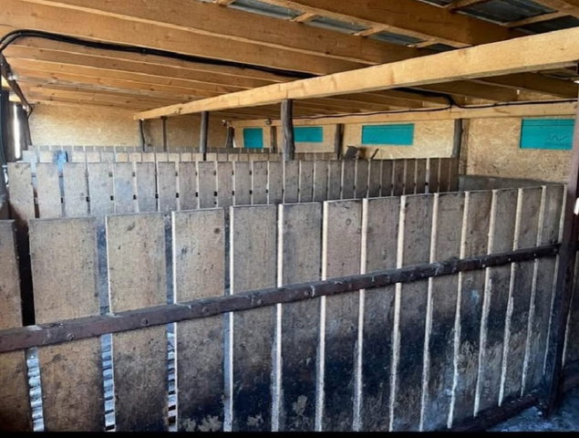 Eladó mezogazdasagi ingatlan, Kiskunhalason 4.49 M Ft
