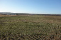 Eladó mezogazdasagi ingatlan, Isaszegen 4.8 M Ft