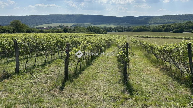 Eladó telek, Szentantalfán 3 M Ft / költözzbe.hu