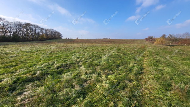 Eladó mezogazdasagi ingatlan, Mezőkövesden 107 M Ft