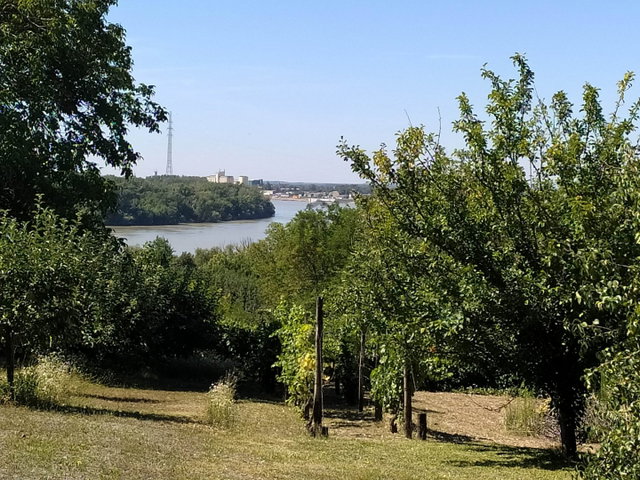 Eladó telek, Mohácson 6.9 M Ft, 1 szobás / költözzbe.hu