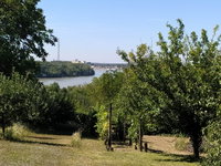Eladó telek, Mohácson 6.9 M Ft, 1 szobás / költözzbe.hu