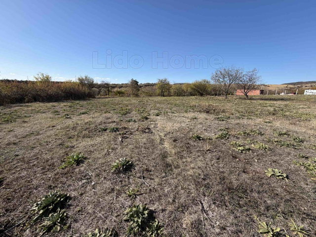 Eladó mezogazdasagi ingatlan, Várpalotán 23.7 M Ft