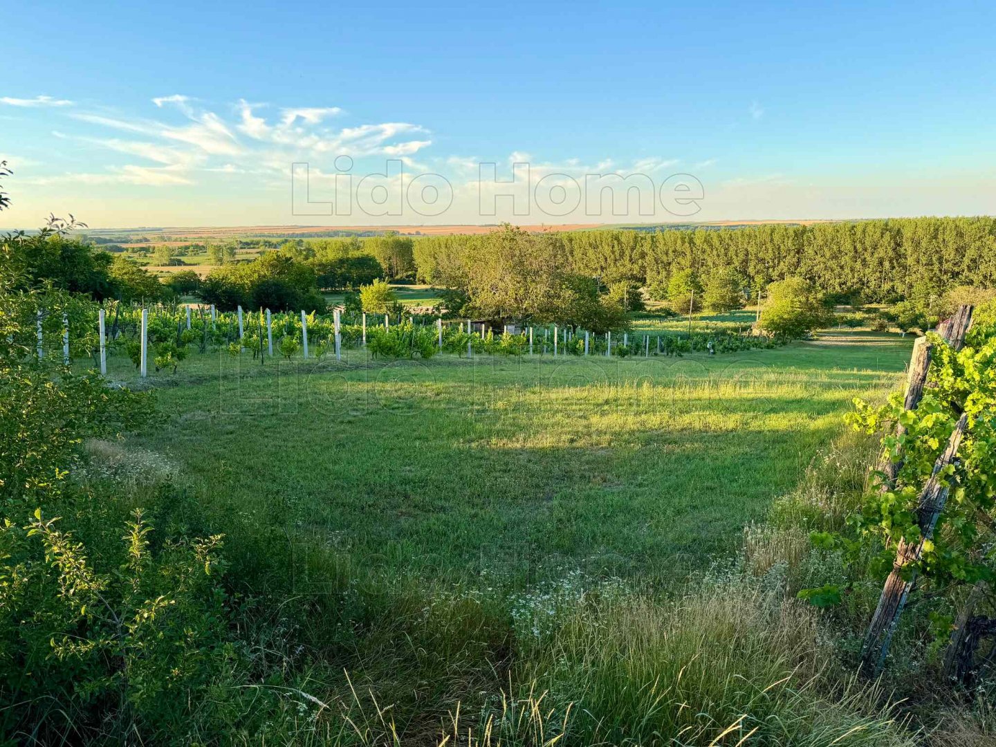 1 hálószoba · 30 m² · 25.990.000 Ft