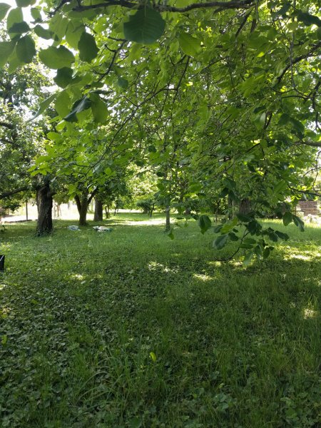 Telek · 2763 m² · 32.000.000 Ft