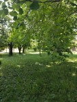 Eladó telek, Balatonalmádiban 32 M Ft / költözzbe.hu