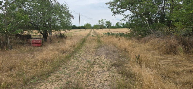 Eladó mezogazdasagi ingatlan, Kunszentmártonban 22 M Ft, 1 szobás