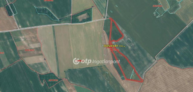 Eladó mezogazdasagi ingatlan, Szabadegyházán 37.9 M Ft