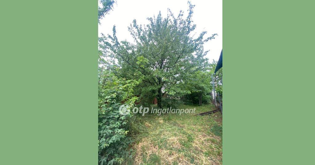 2317m² · 2.999.000 ft
