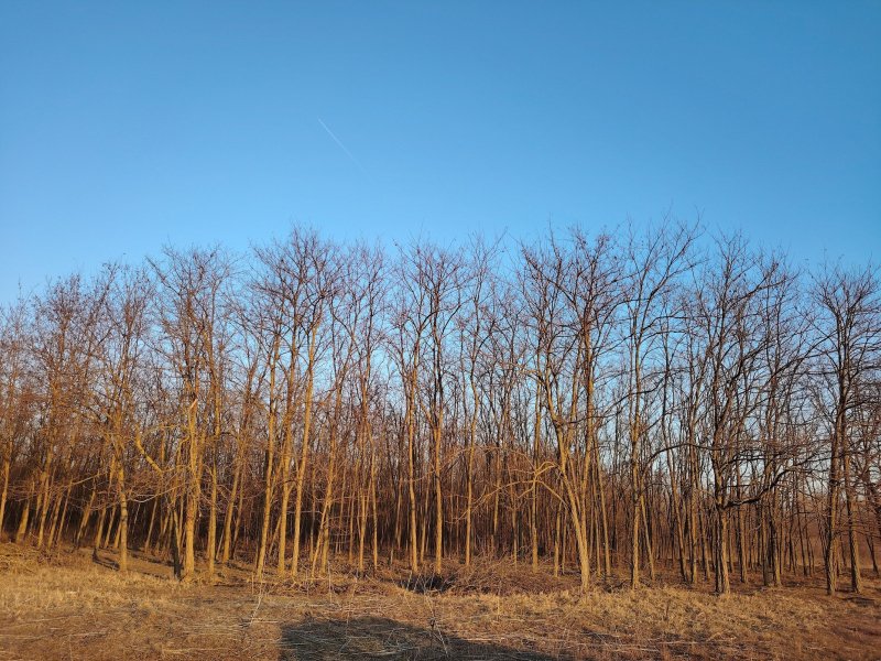 2227 m² · 22.000.000 Ft