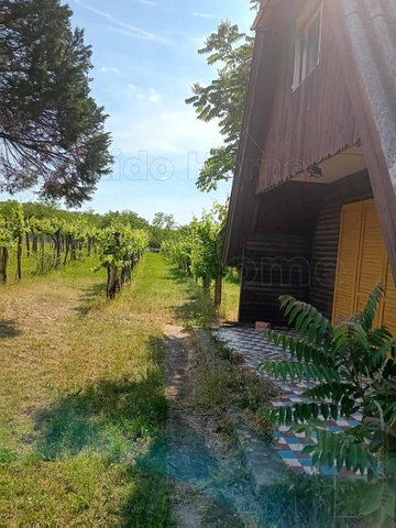Eladó mezogazdasagi ingatlan, Balatonőszödön 25 M Ft, 1 szobás