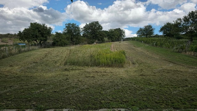 Eladó mezogazdasagi ingatlan, Ravazdon 6.5 M Ft