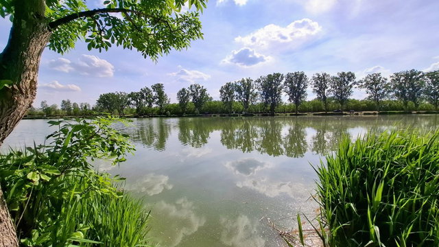 Eladó családi ház, Őrbottyánban 92.5 M Ft, 4 szobás