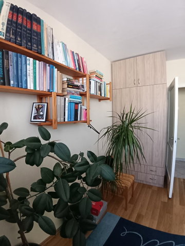 Eladó panellakás, Szolnokon 29.5 M Ft, 2 szobás