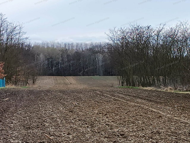 Eladó telek, Buzsákon 17.99 M Ft / költözzbe.hu