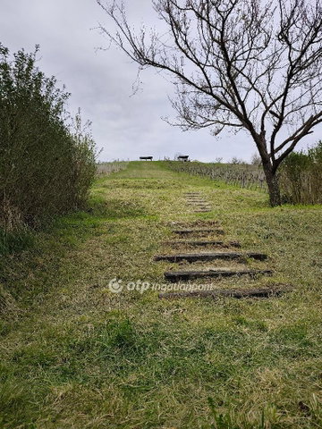 Eladó mezogazdasagi ingatlan, Zalaszentgróton 30 M Ft