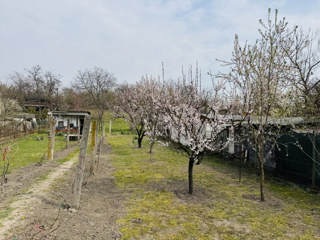 Eladó mezogazdasagi ingatlan, Budapesten, XXI. kerületben 26.8 M Ft