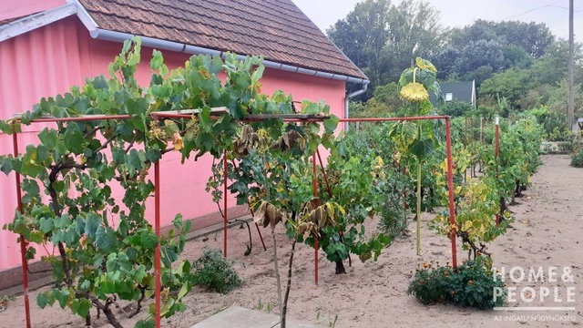 Eladó nyaraló, Domaszéken 24.7 M Ft, 1 szobás