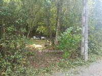 Eladó telek, Pásztón 16 M Ft / költözzbe.hu