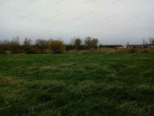 Eladó mezogazdasagi ingatlan, Szolnokon 77 M Ft