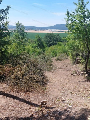 Eladó mezogazdasagi ingatlan, Héregen 3.8 M Ft