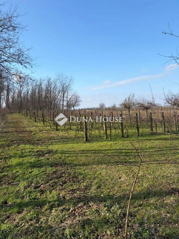 Eladó mezogazdasagi ingatlan, Kisbéren 6.5 M Ft, 1 szobás