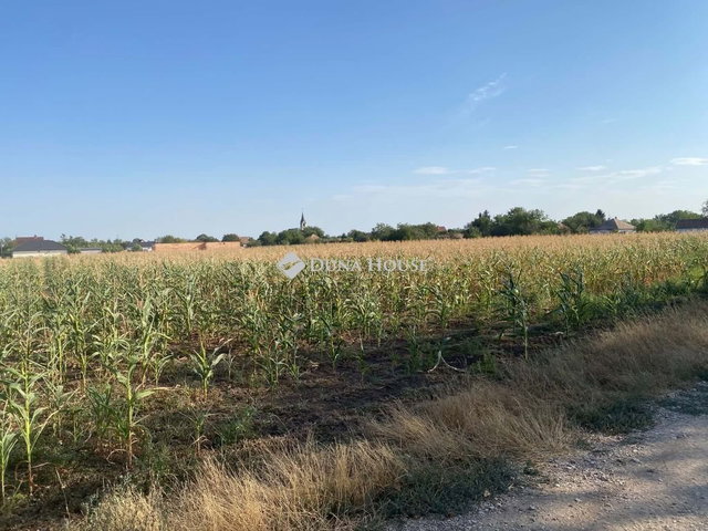 Eladó telek, Besnyőn, Szabadság utcában 19.5 M Ft