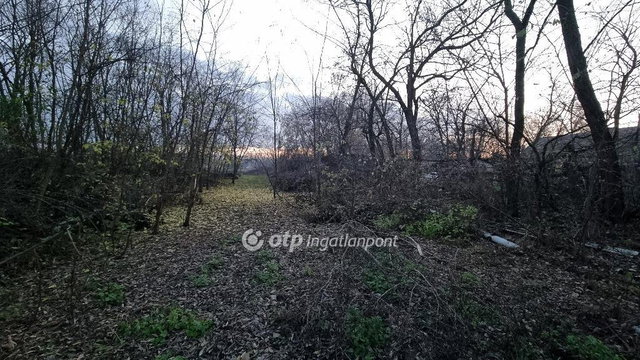 Eladó telek, Albertirsán 6.5 M Ft / költözzbe.hu
