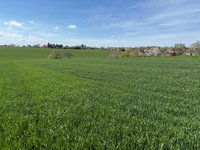 Eladó telek, Cserszegtomajon 17.5 M Ft / költözzbe.hu
