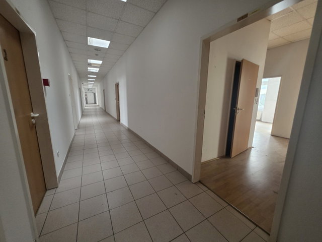 Kiadó iroda, Budapesten, XI. kerületben, Kondorfa utcában