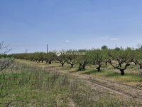 Eladó mezogazdasagi ingatlan, Bordányon 5.7 M Ft