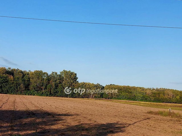 Eladó mezogazdasagi ingatlan, Ópusztaszeren 2.9 M Ft