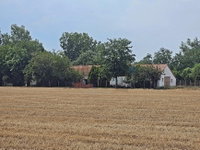 Eladó mezogazdasagi ingatlan, Békéscsabán 32.9 M Ft