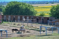 Eladó mezogazdasagi ingatlan, Fóton 149 M Ft, 4 szobás