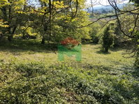 Eladó mezogazdasagi ingatlan, Marcaliban 3 M Ft