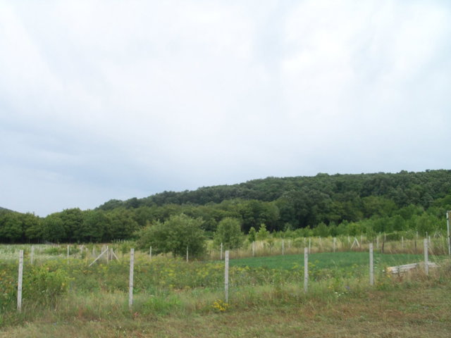 Eladó telek, Nagykovácsiban 284.77 M Ft / költözzbe.hu