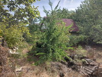 Eladó telek, X. kerületben 110 M Ft, 2 szobás