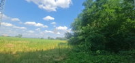 Eladó mezogazdasagi ingatlan, Üllőn 465 M Ft